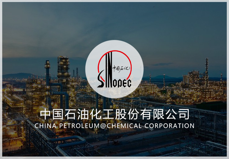 工程建設(shè)信息標(biāo)準(zhǔn)化項(xiàng)目—管道等級庫建立